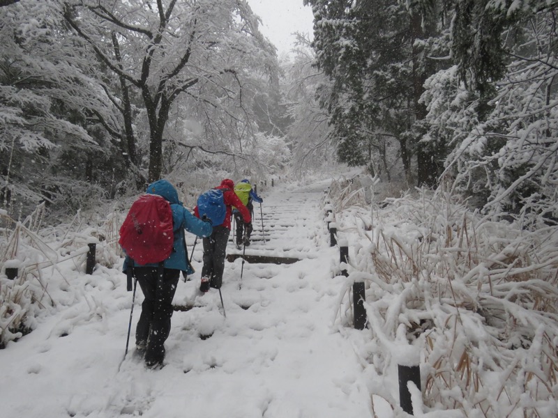 高尾梅郷＆高尾山