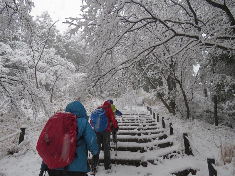 高尾梅郷＆高尾山