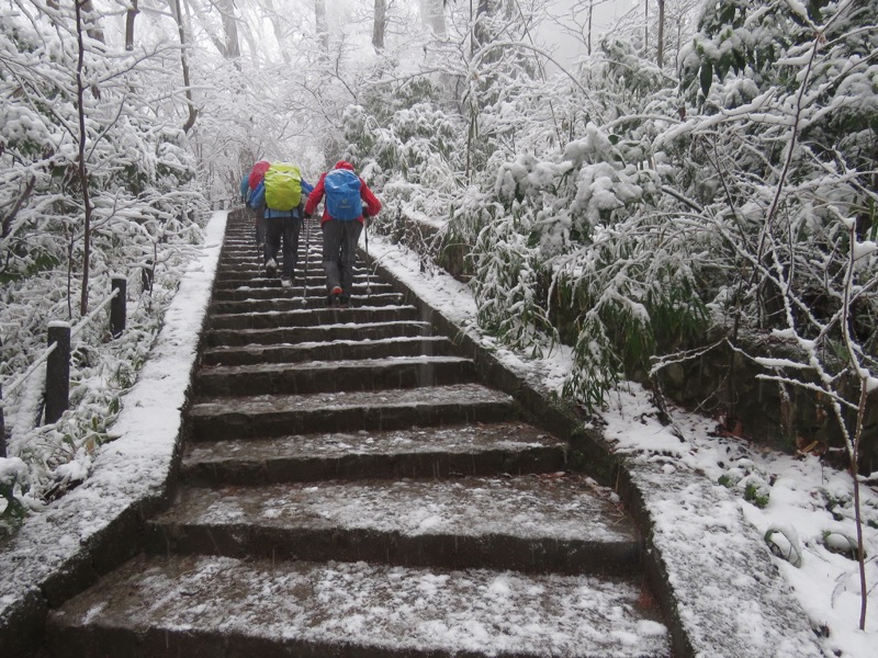 高尾梅郷＆高尾山