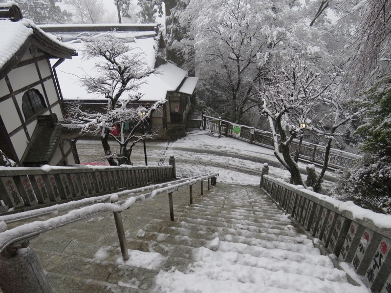 高尾梅郷＆高尾山