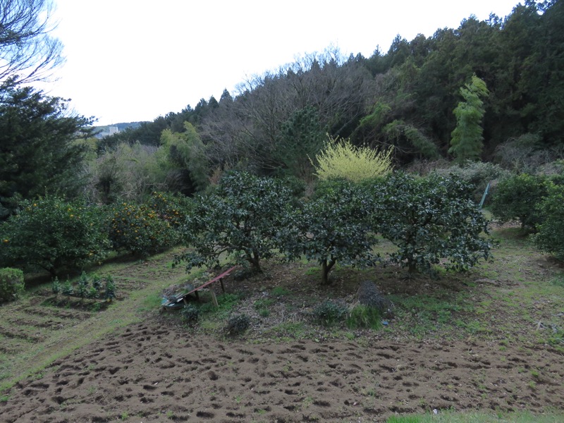 石垣山登山