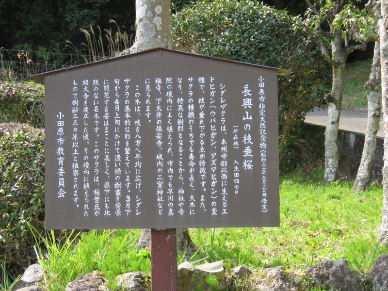 石垣山登山