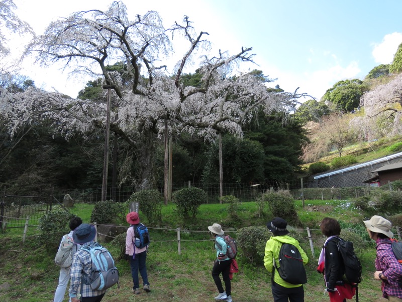 石垣山登山