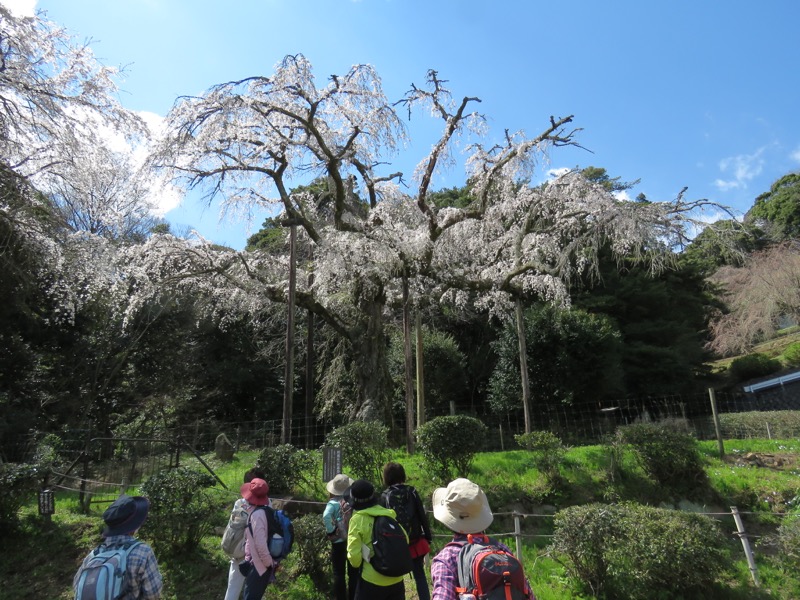 石垣山登山