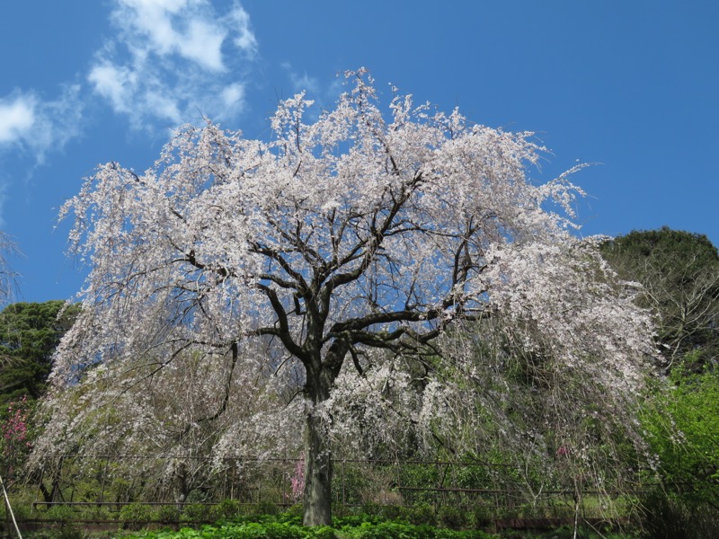 石垣山登山