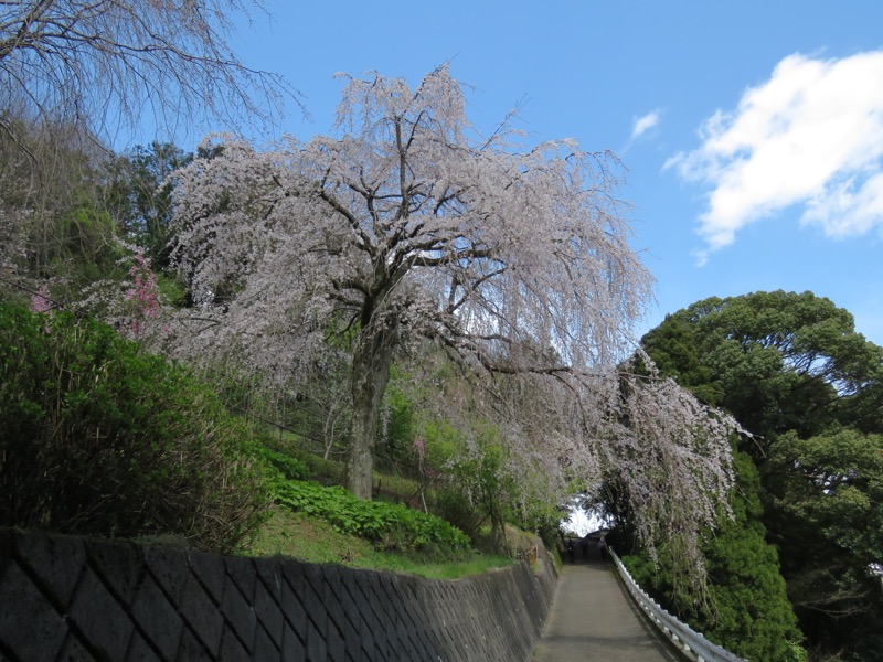 石垣山登山