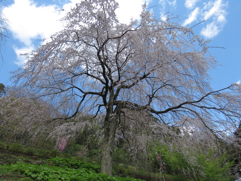 石垣山登山
