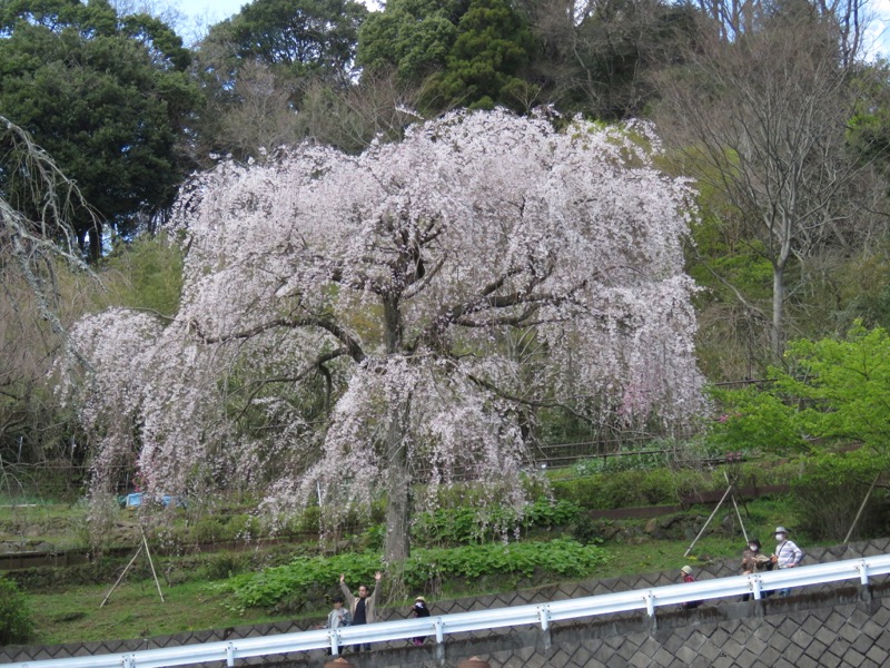 石垣山登山