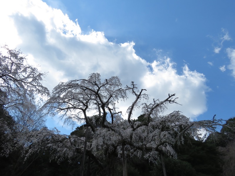 石垣山登山