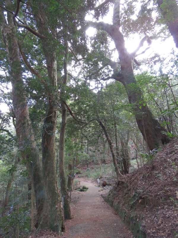 石垣山登山