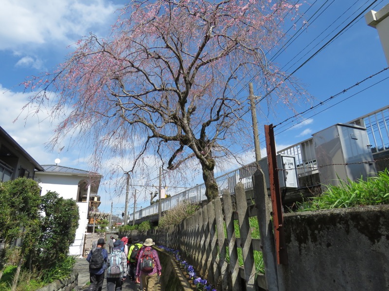石垣山登山