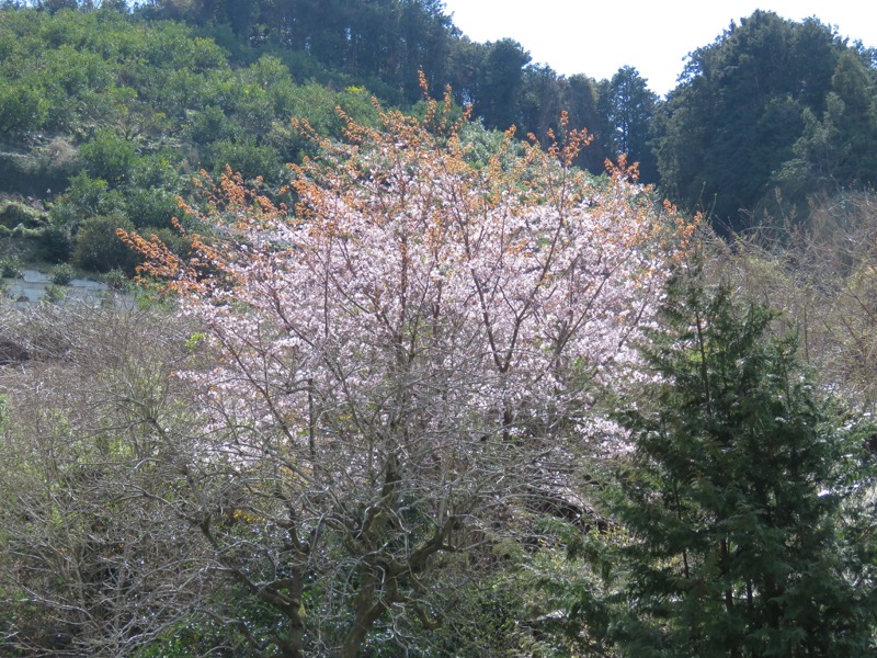 石垣山登山