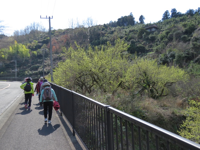 石垣山登山