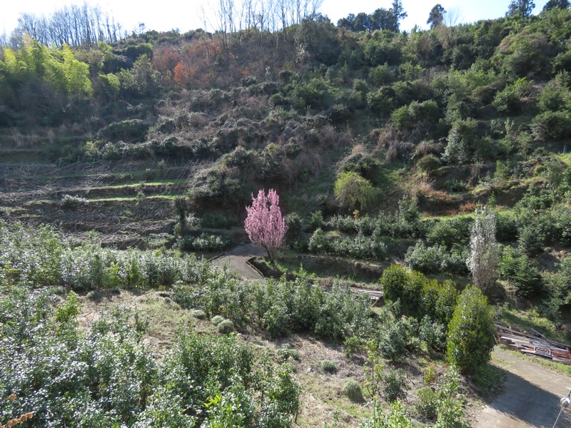 石垣山登山