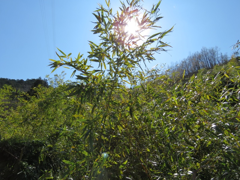 石垣山登山