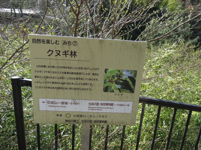 石垣山登山