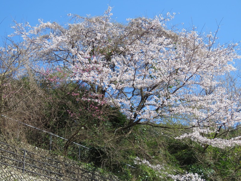 石垣山登山