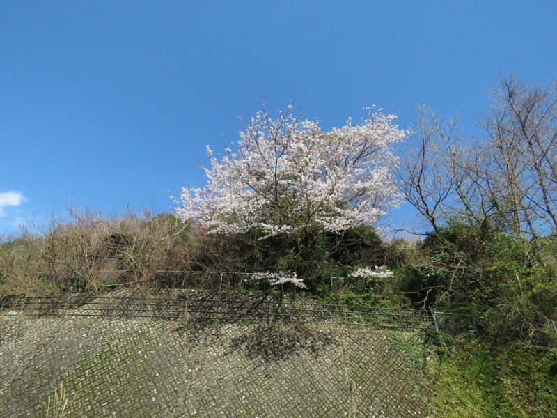 石垣山登山