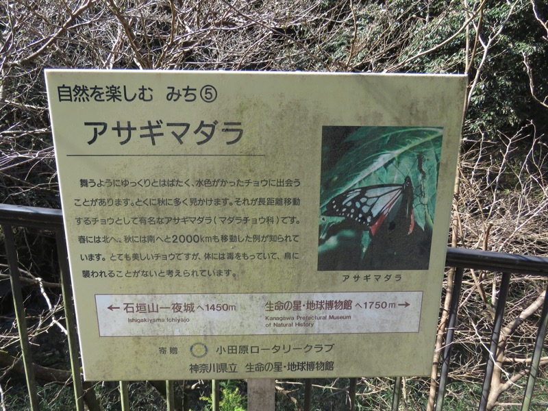 石垣山登山