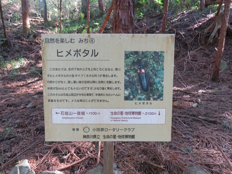 石垣山登山