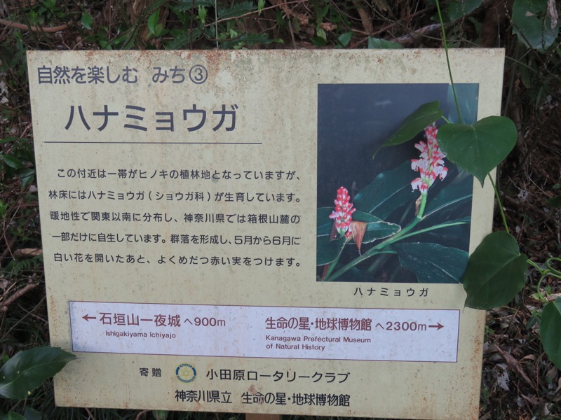 石垣山登山