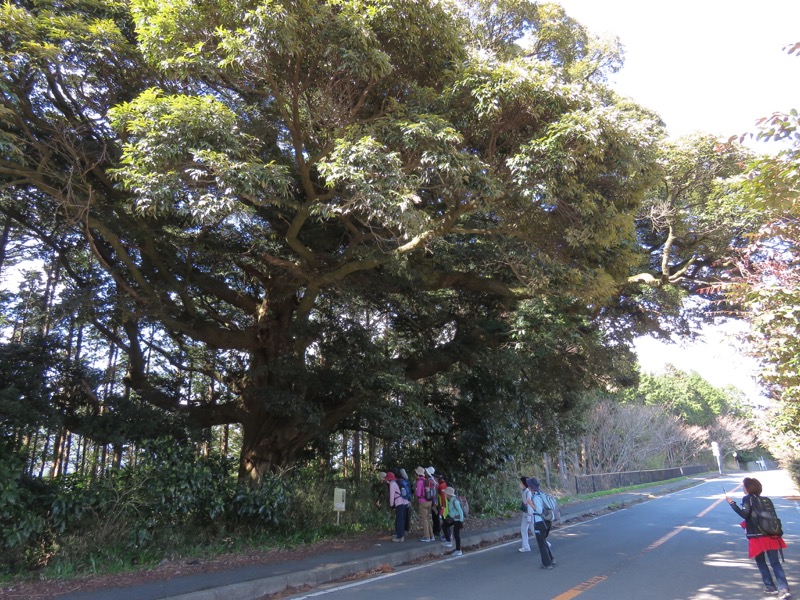 石垣山登山
