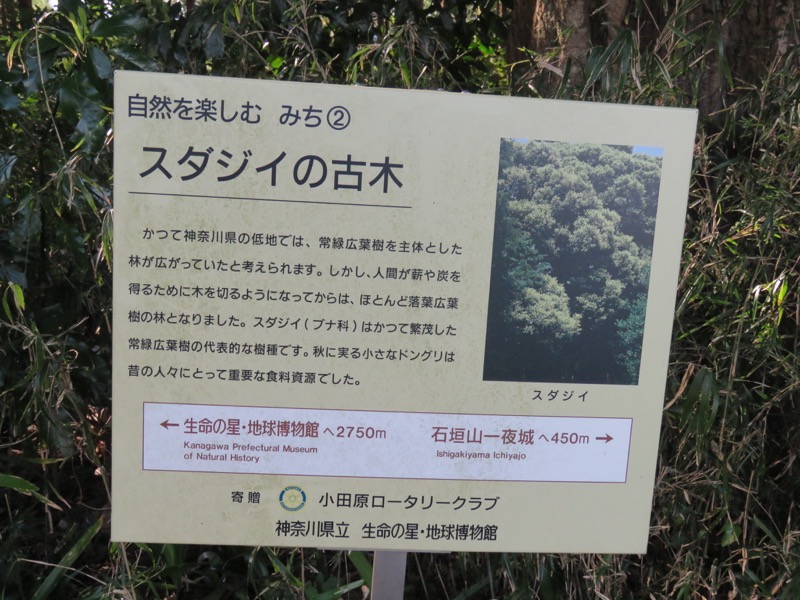 石垣山登山