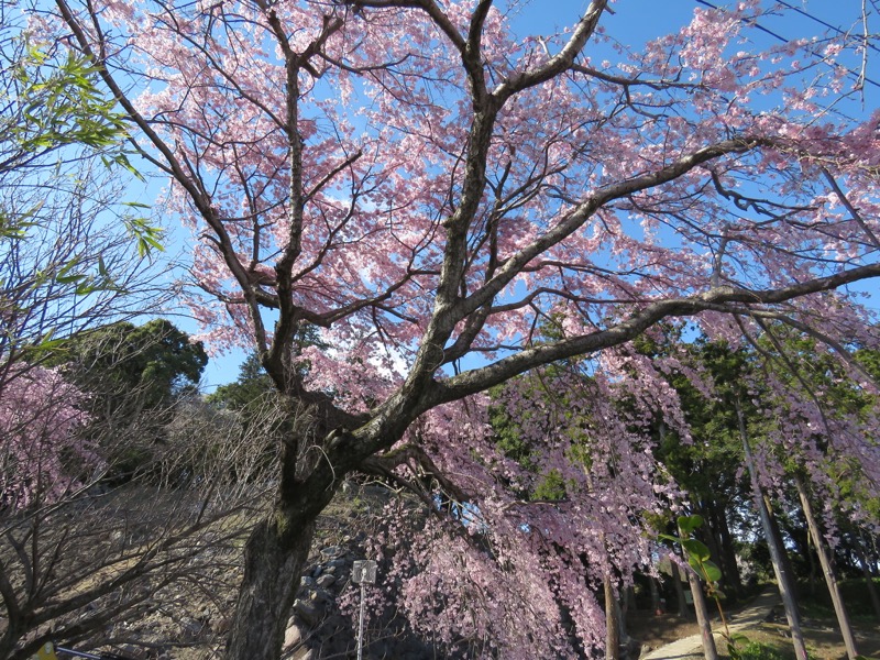 石垣山登山