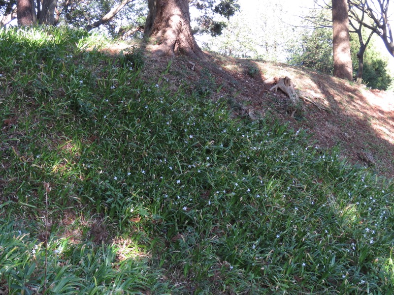 石垣山登山