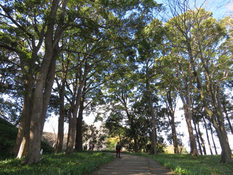 石垣山登山