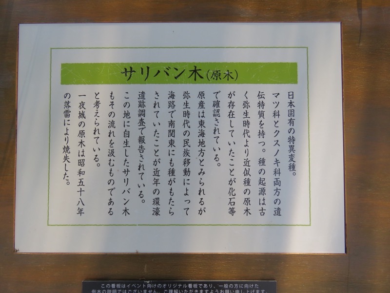 石垣山登山