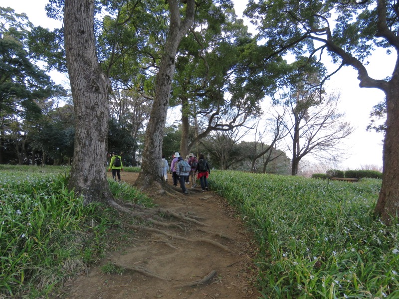 石垣山登山