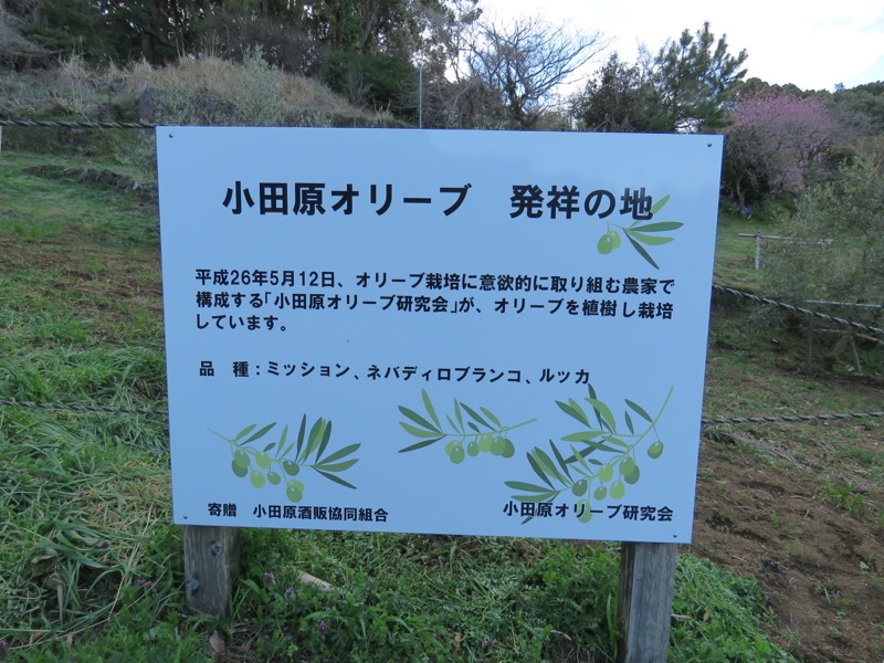 石垣山登山