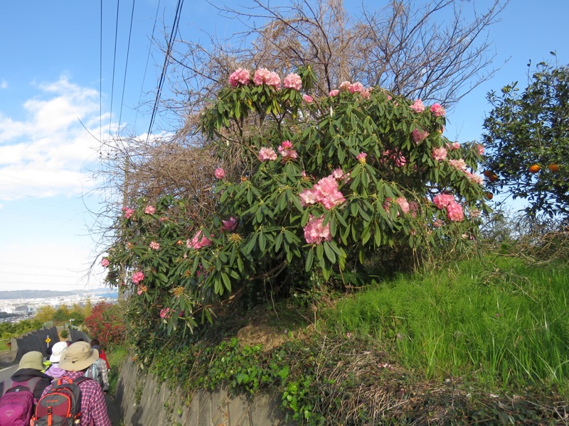 石垣山登山