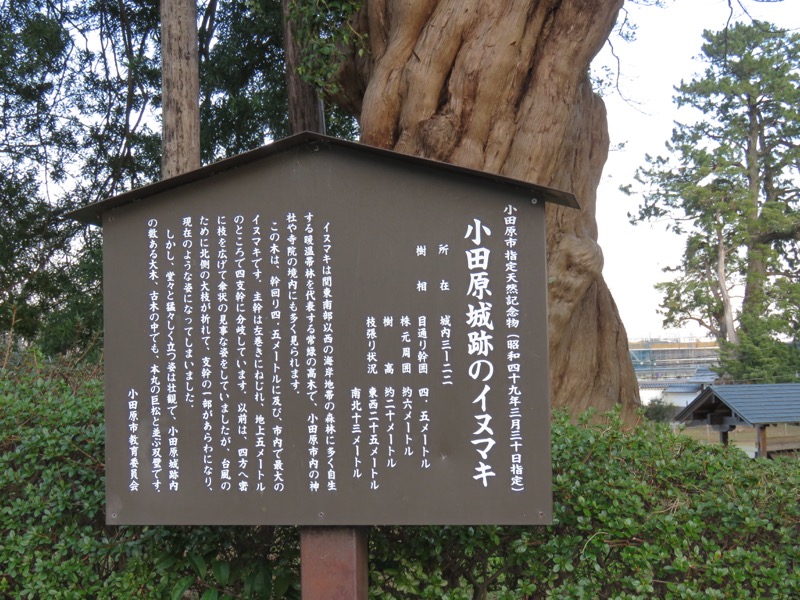 石垣山登山