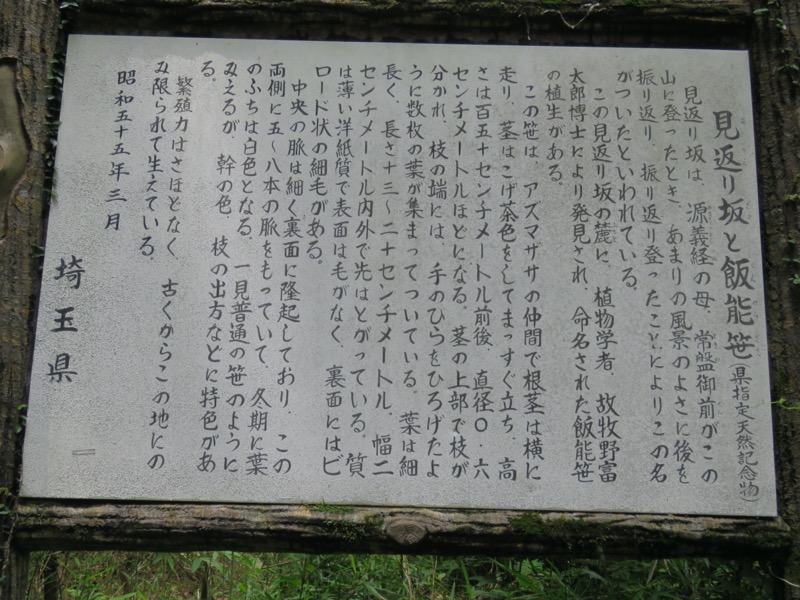 天覧山