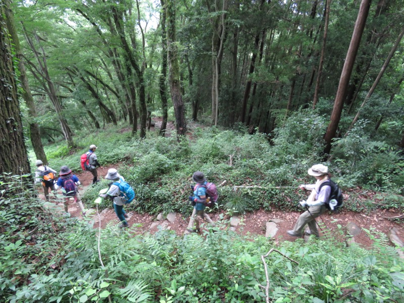 天覧山