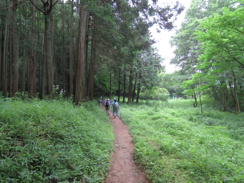 天覧山