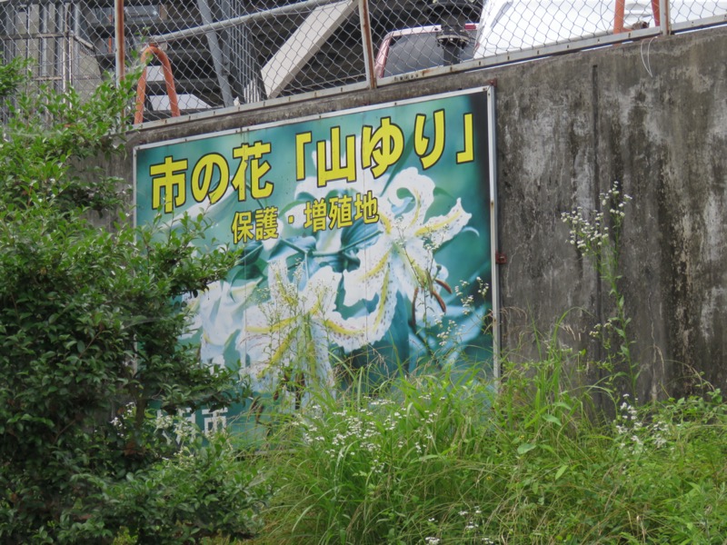 高川山