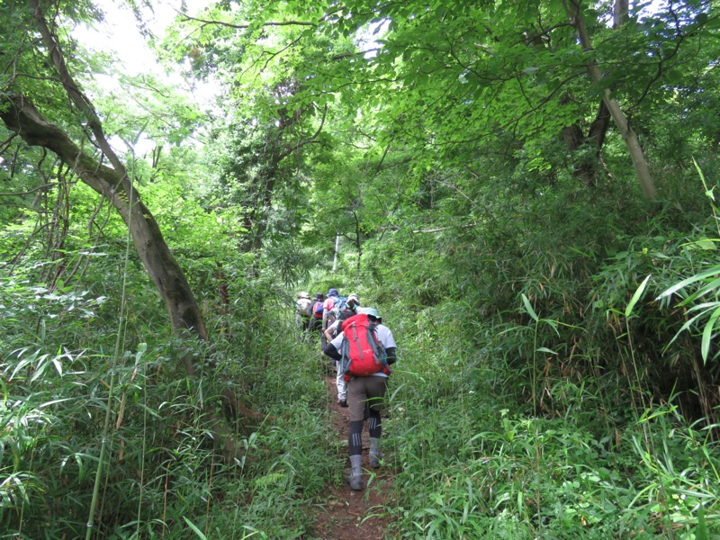 高川山