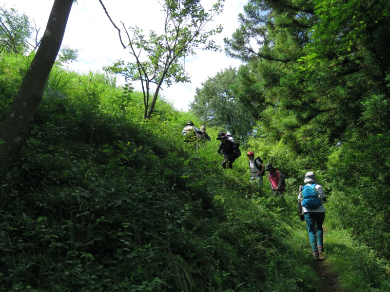 高川山