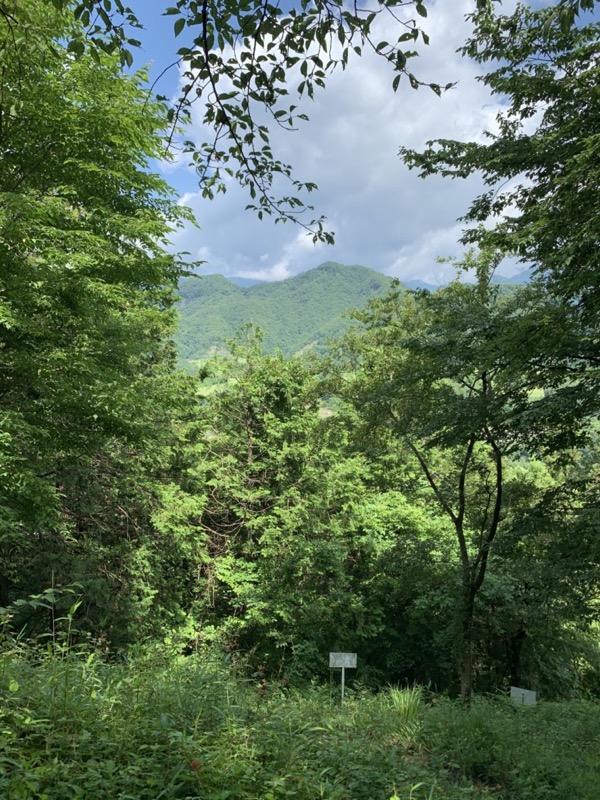高川山