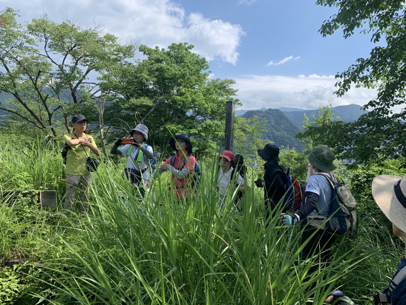 高川山