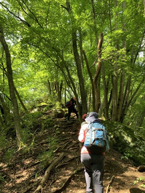 高川山