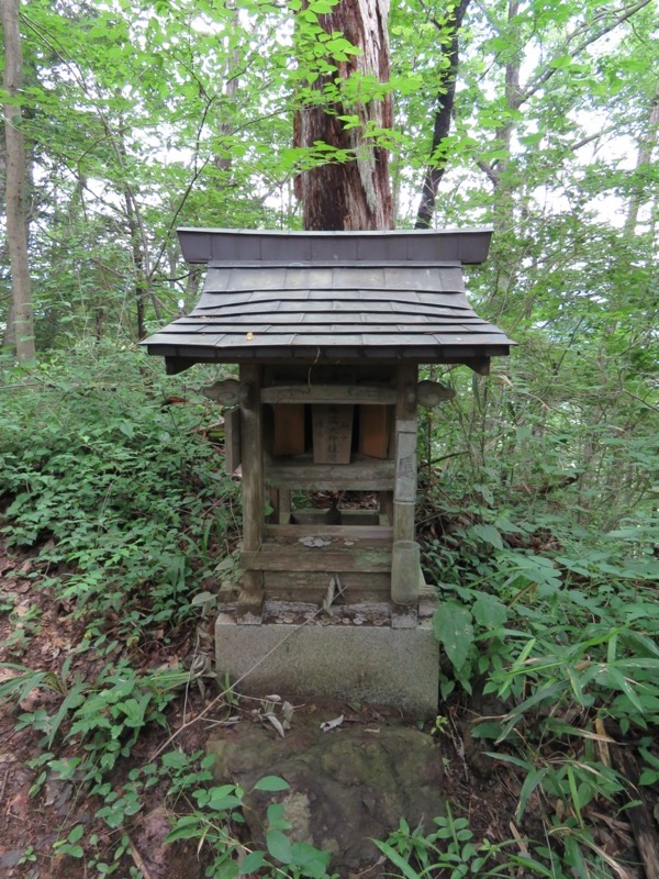 高川山