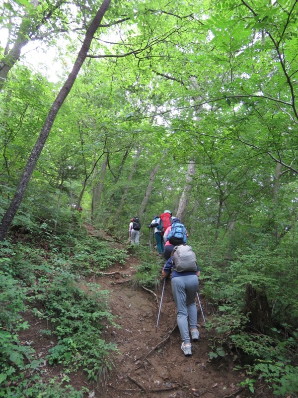 高川山