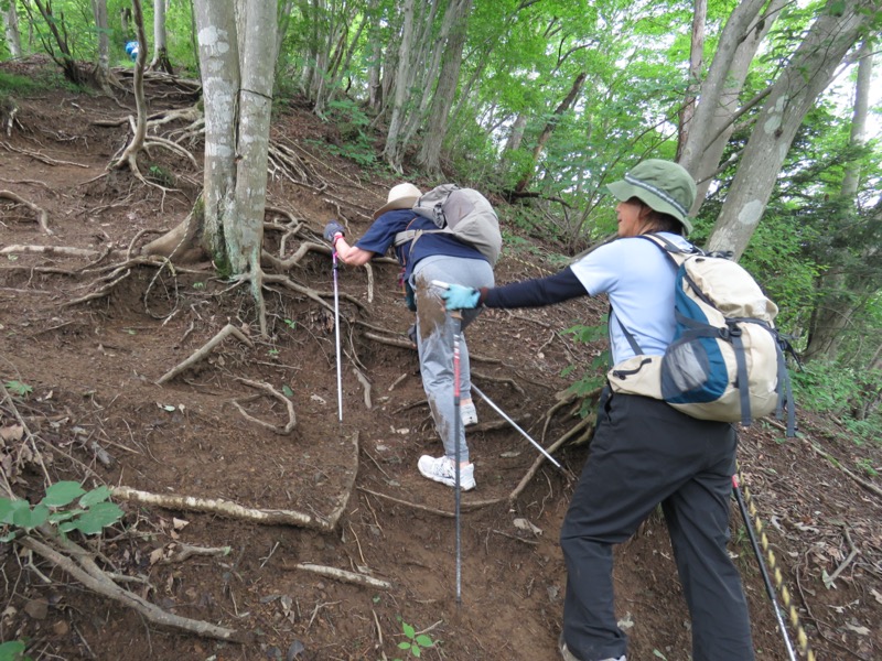 高川山