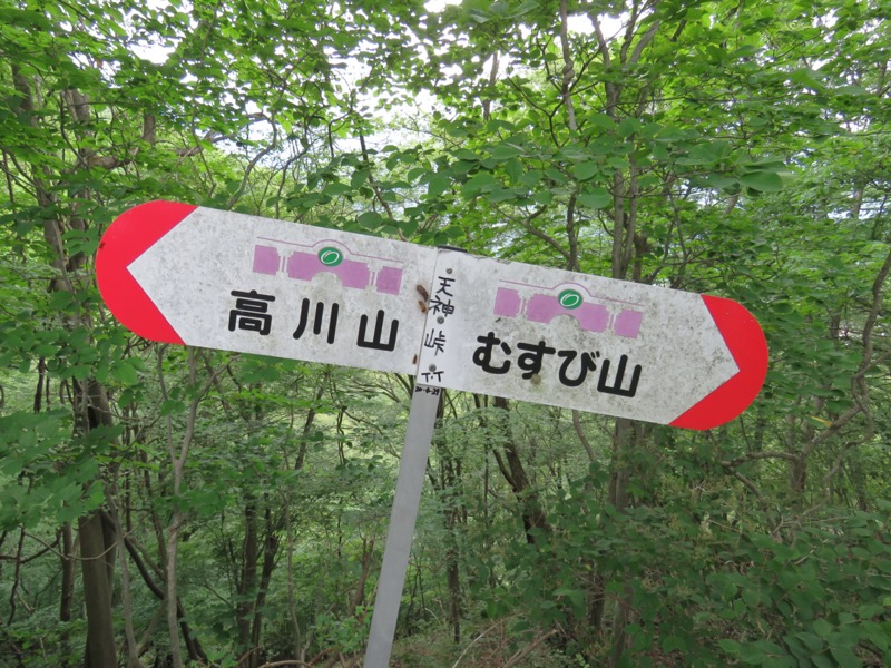 高川山
