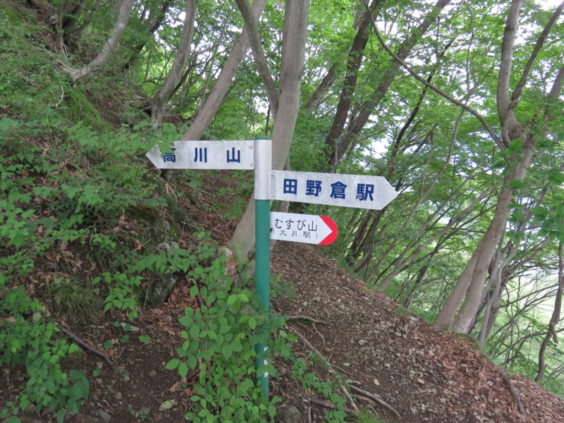 高川山
