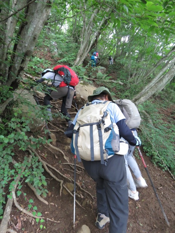 高川山